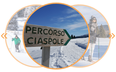 Ciaspole