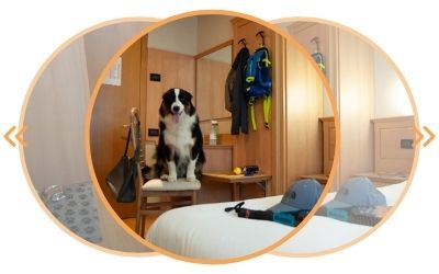 Pet Friendly Room Hotel Vittoria